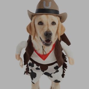 Witch crafters cowboy Western funny dog pet costume
